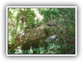 wrzesie� 2009
