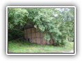 �abinko 2010